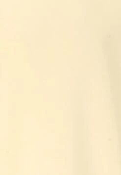 Endurance Sweater - Geel 7 Endurance Sweater - Geel -Endurance 5481ac12bafe430faf9c3f8a98c07917