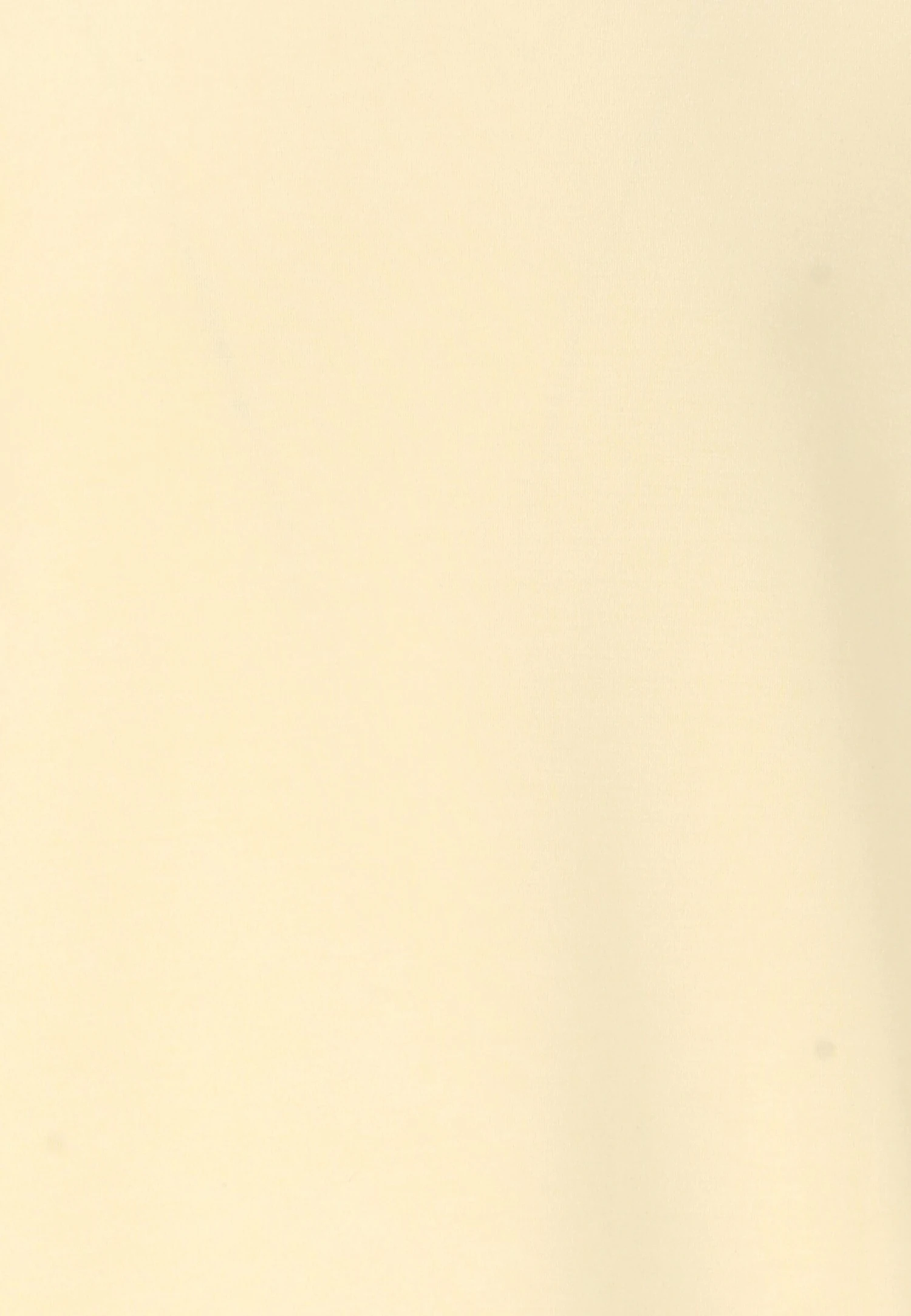 Endurance Sweater - Geel 5 Endurance Sweater - Geel - Afbeelding 3