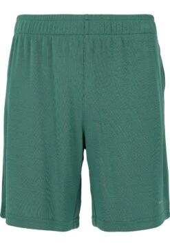 Endurance Sesto Jr - Shorts - Sea Pine